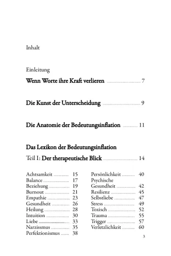 „Die Entführung der edlen Worte.“ Warum Begriffe alles bedeuten und uns die Orientierung nehmen. - AT